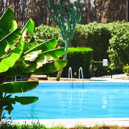 Guest house Moon-light Studio Larnaca