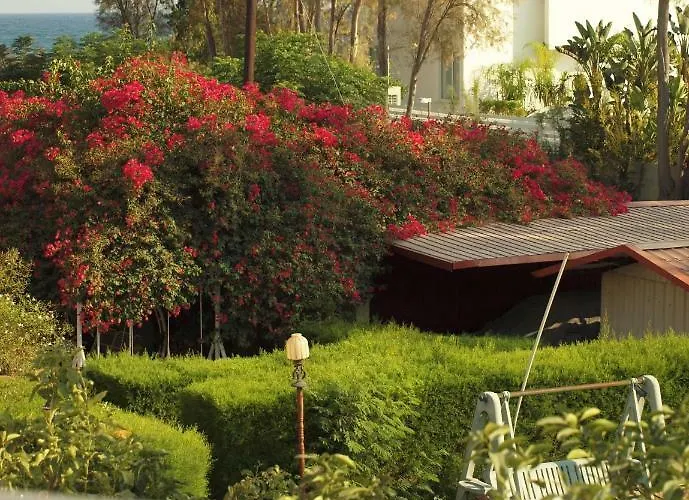 Moon-light Studio Λάρνακα